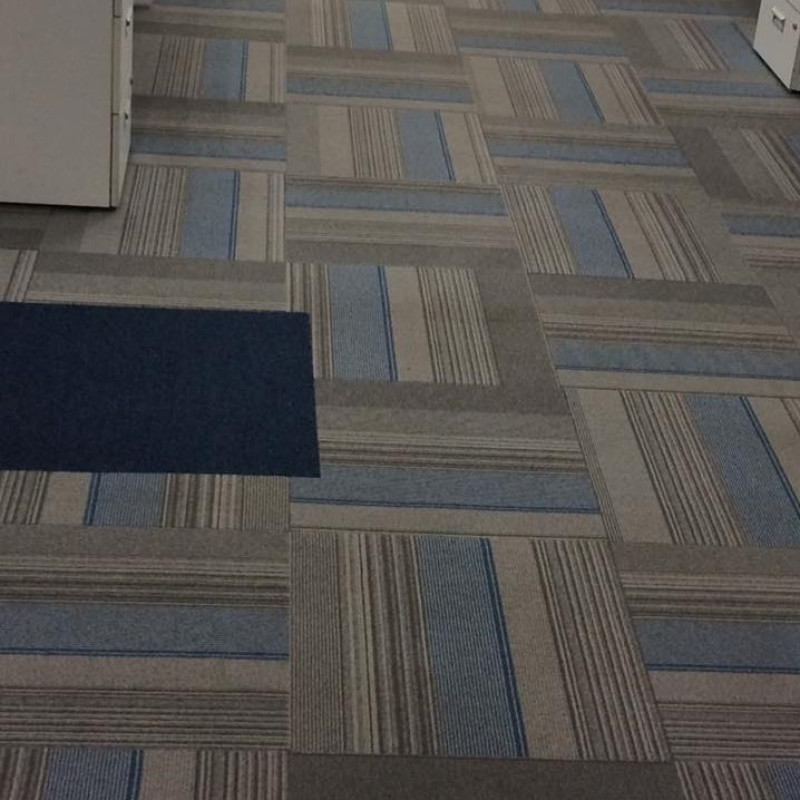 Carpet Shampooing/Cleaning Service In Greater Noida