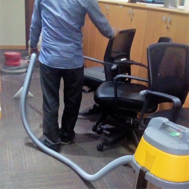 Carpet Cleaning And Shampooing Service In Noida