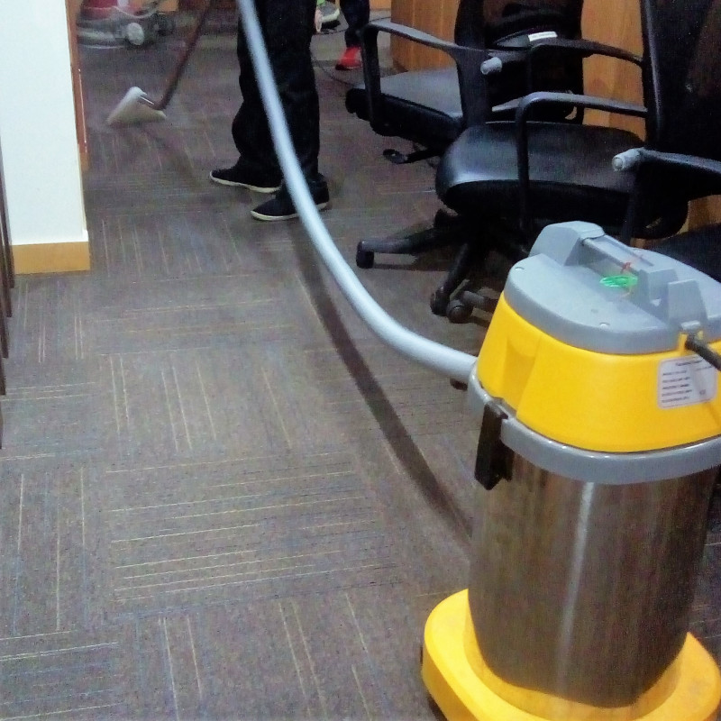 House Carpet Cleaning