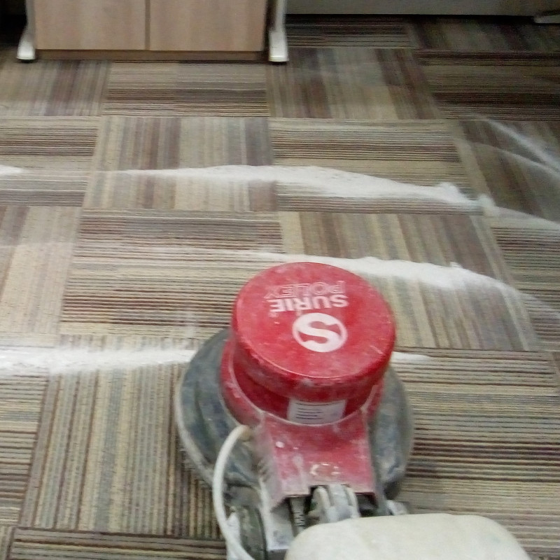 Carpet Shampooing Services In Palwal