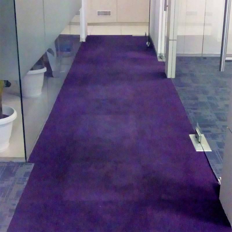 Carpet Shampooing Company