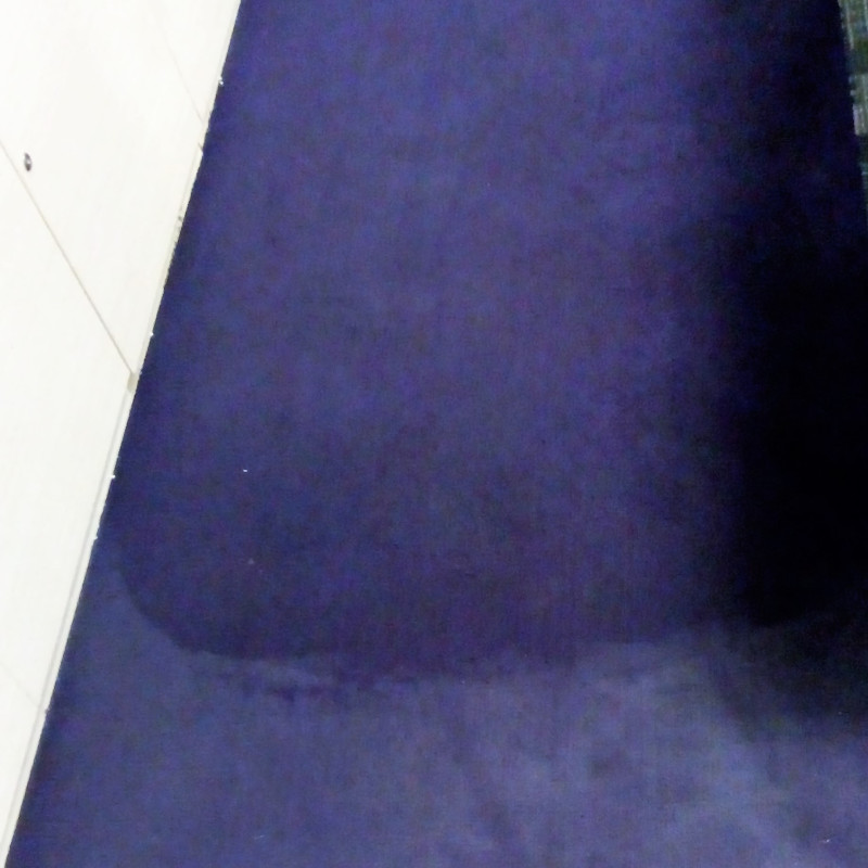 Carpet Shampooing Contractor