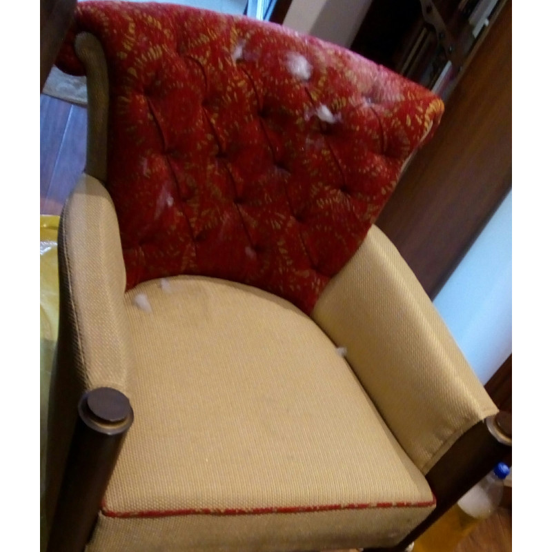 Chair Shampooing Service In Faridabad