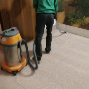 Carpet Cleaning And Shampooing Service