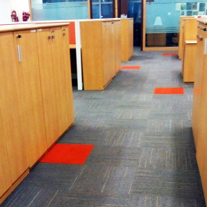 Fabric Carpet Cleaning Service