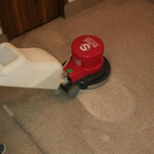 Residential Carpet Cleaning Service