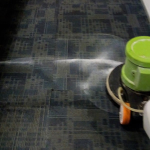 Best Carpet Shampooing