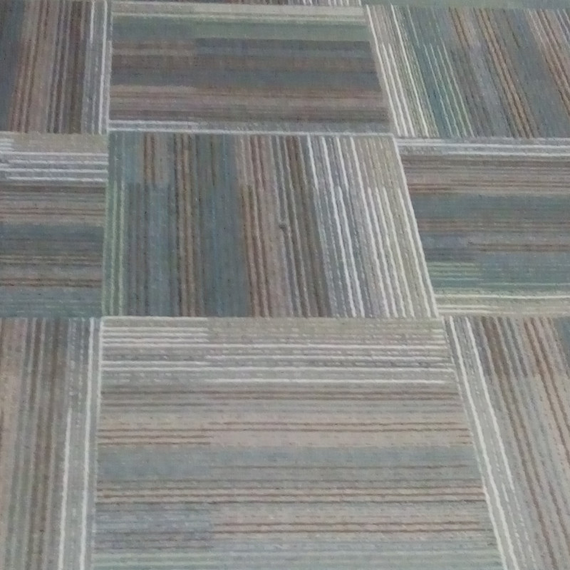 Carpet Cleaning And Shampooing Service In Palwal