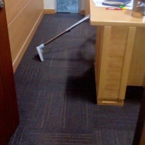 Carpet Cleaning Service